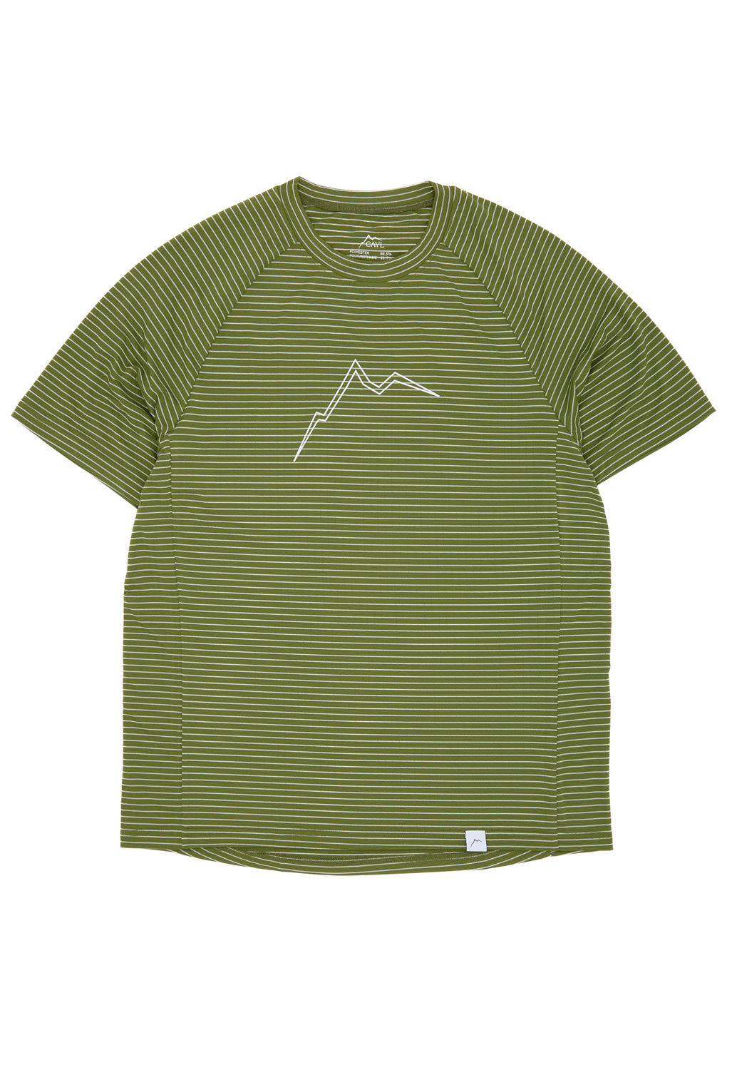 CAYL Men's Stripe B.L. Short Sleeve T-Shirt - Green