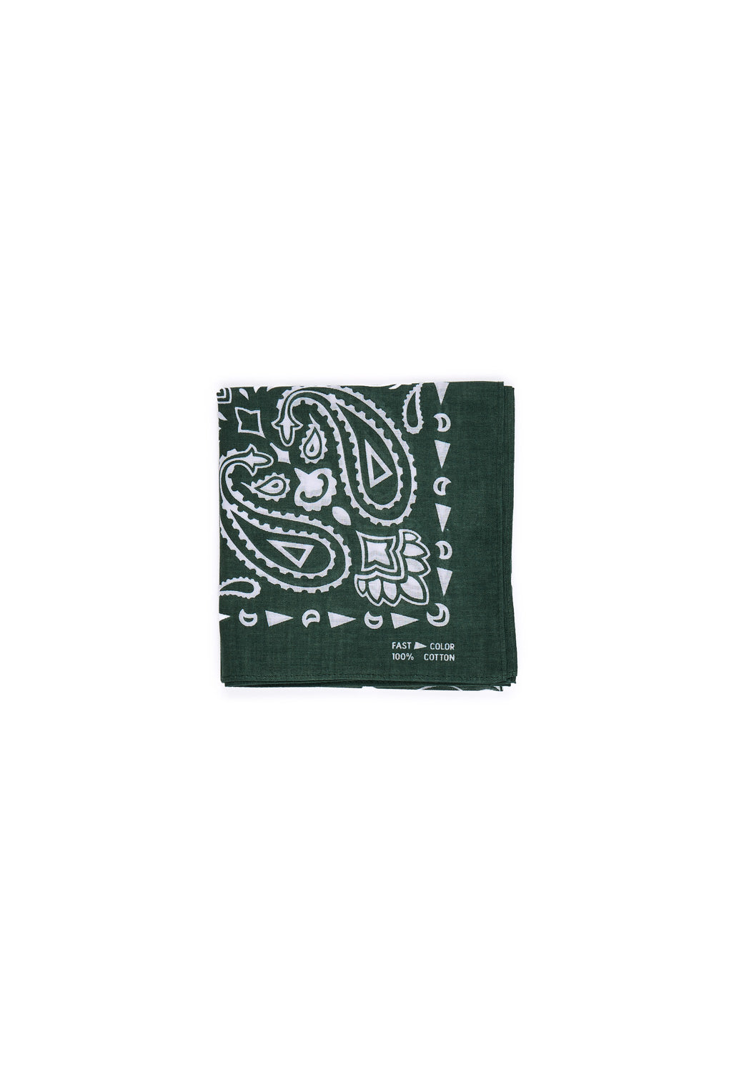 Pilgrim Surf + Supply Paisley Bandana - Green