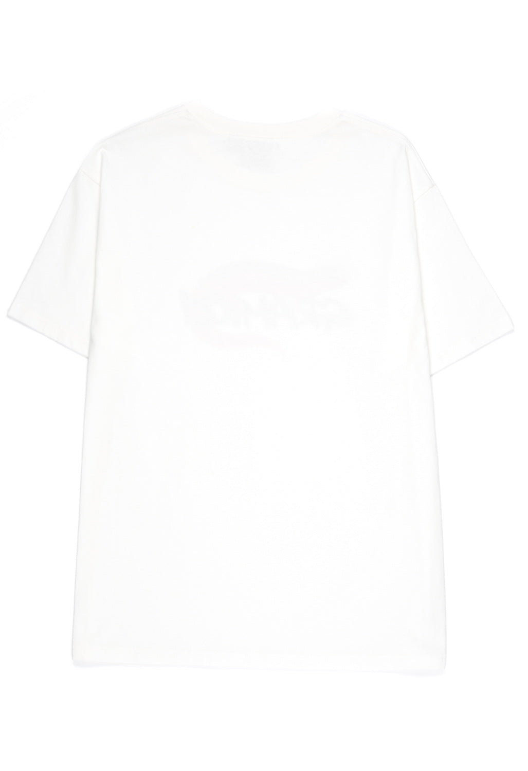 Gramicci Salamander Tee - White