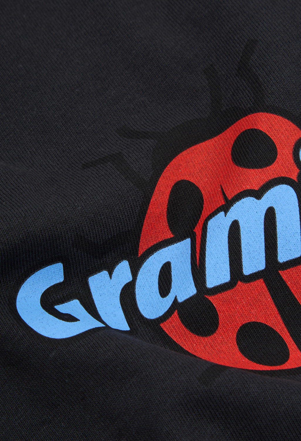 Gramicci Ladybug Tee - Vintage Black