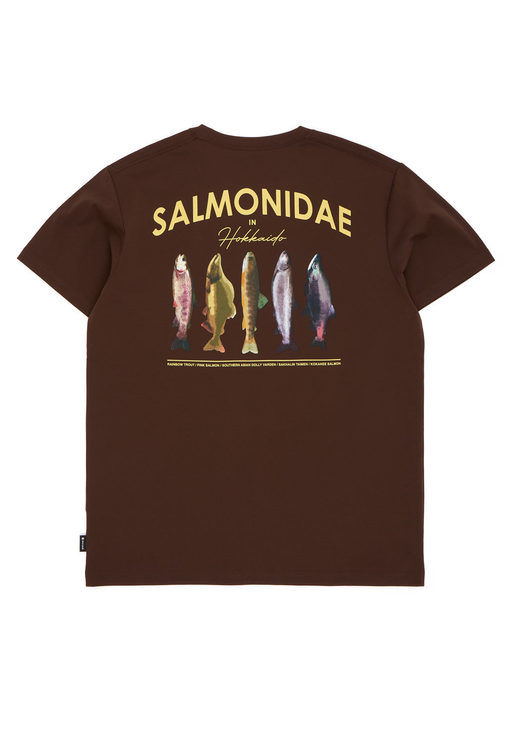 Snow Peak Men's Northland Trout Dry T-Shirt - Brown