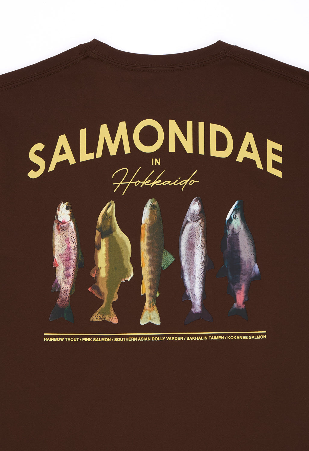Snow Peak Men's Northland Trout Dry T-Shirt - Brown