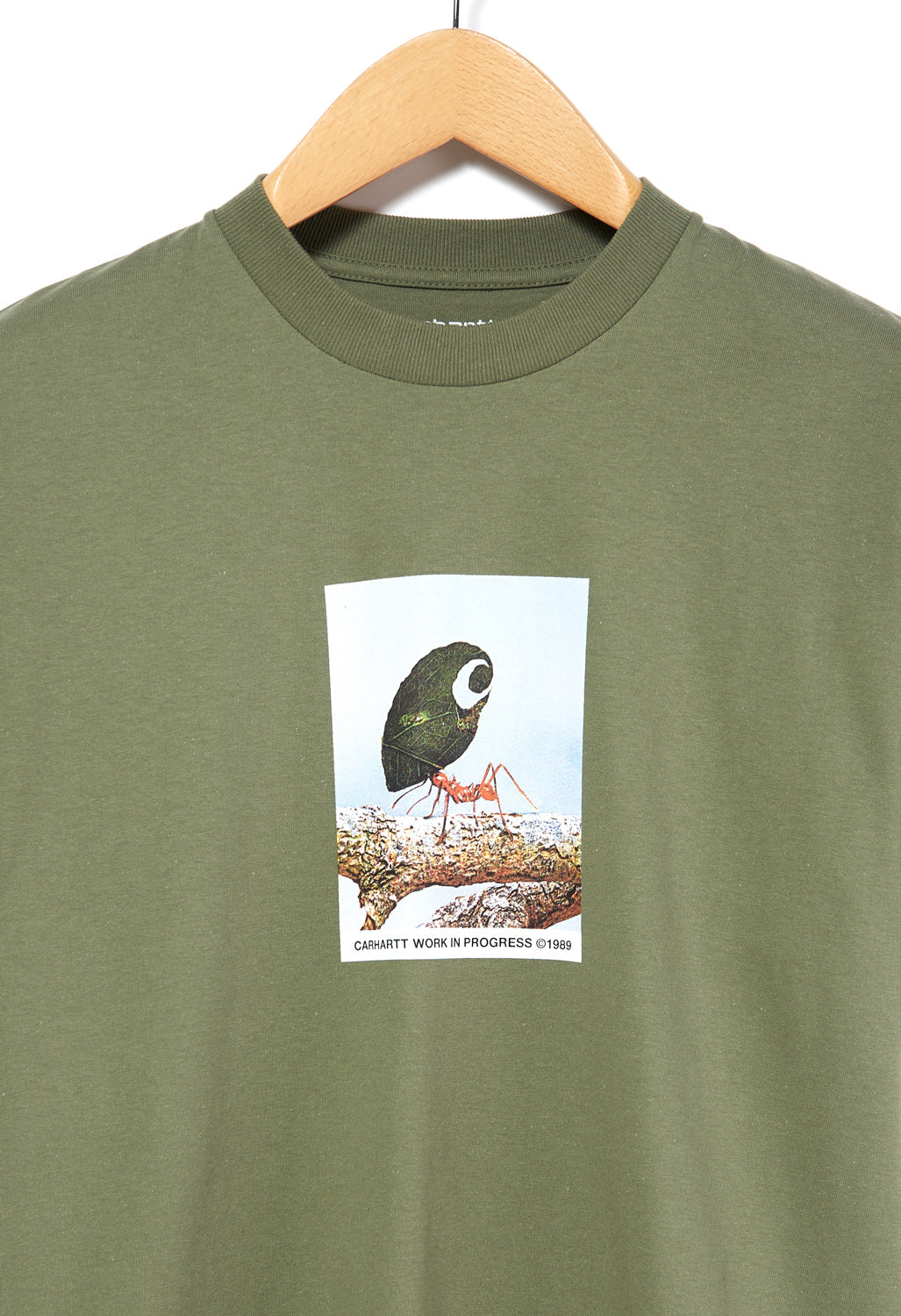 Carhartt WIP Men's Antleaf T-Shirt - Dollar Green