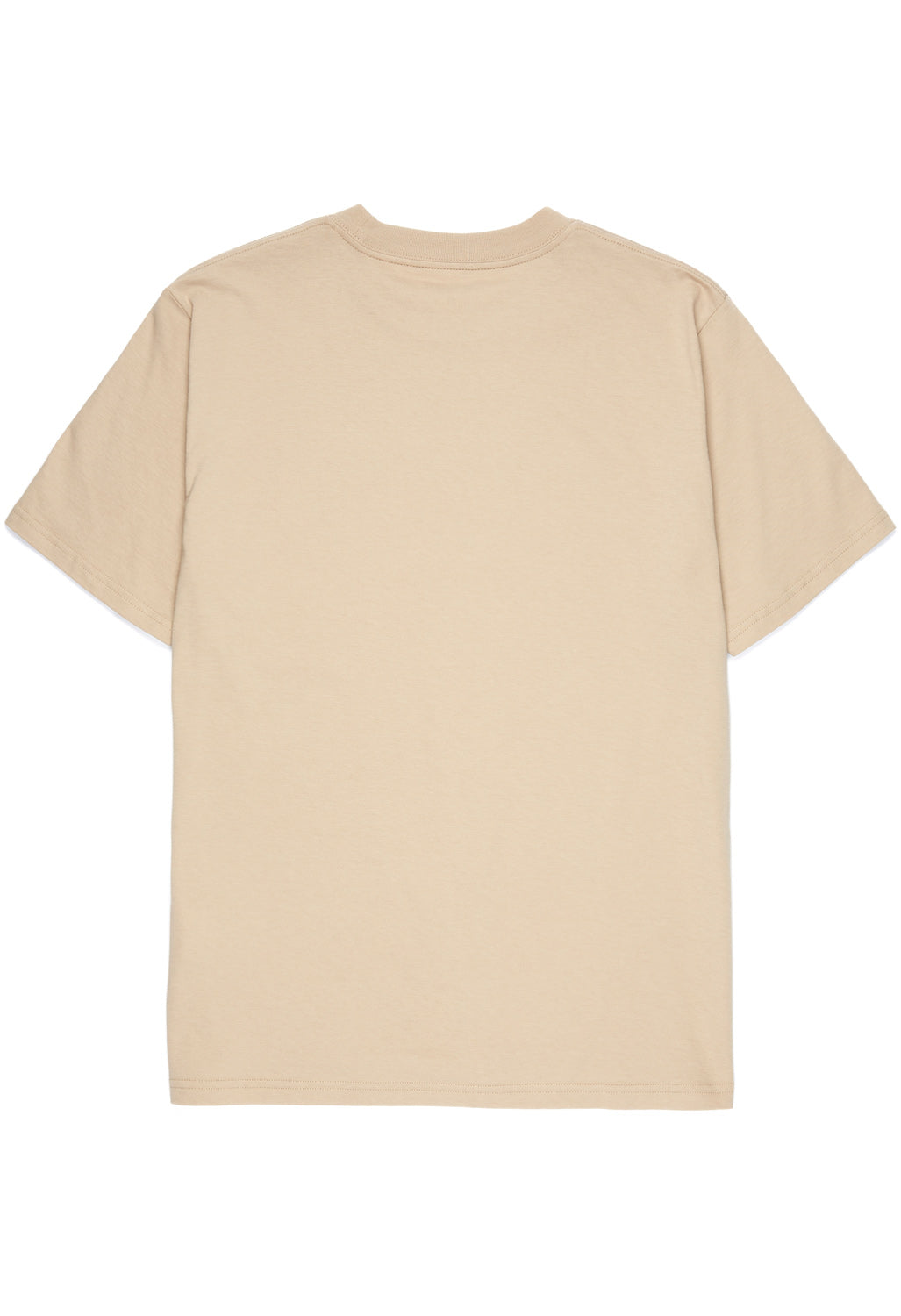 Carhartt WIP Men's Dandelion Script T-Shirt - Wall