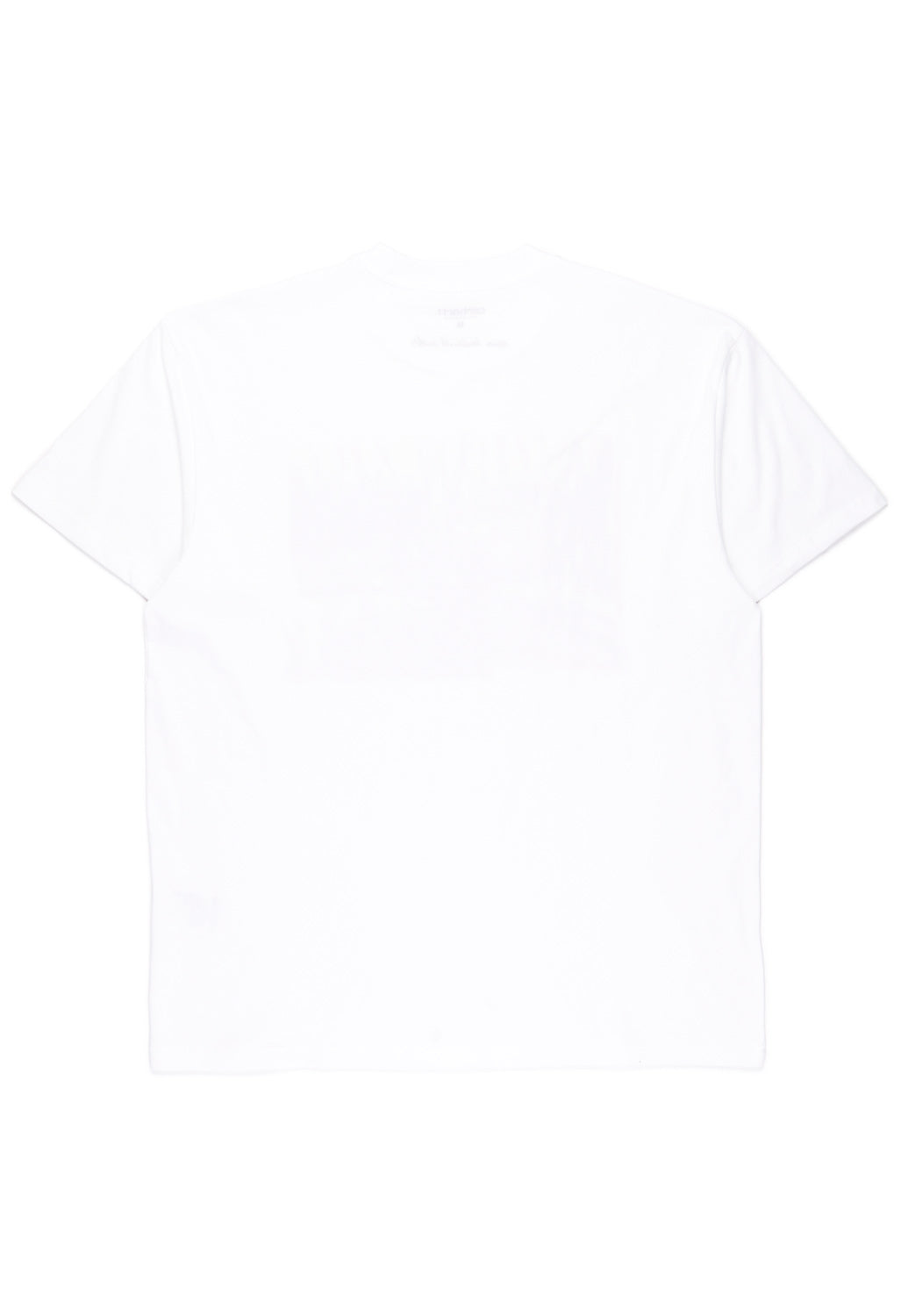 Carhartt WIP Men's Ollie Mac Icy Lake T-Shirt - White