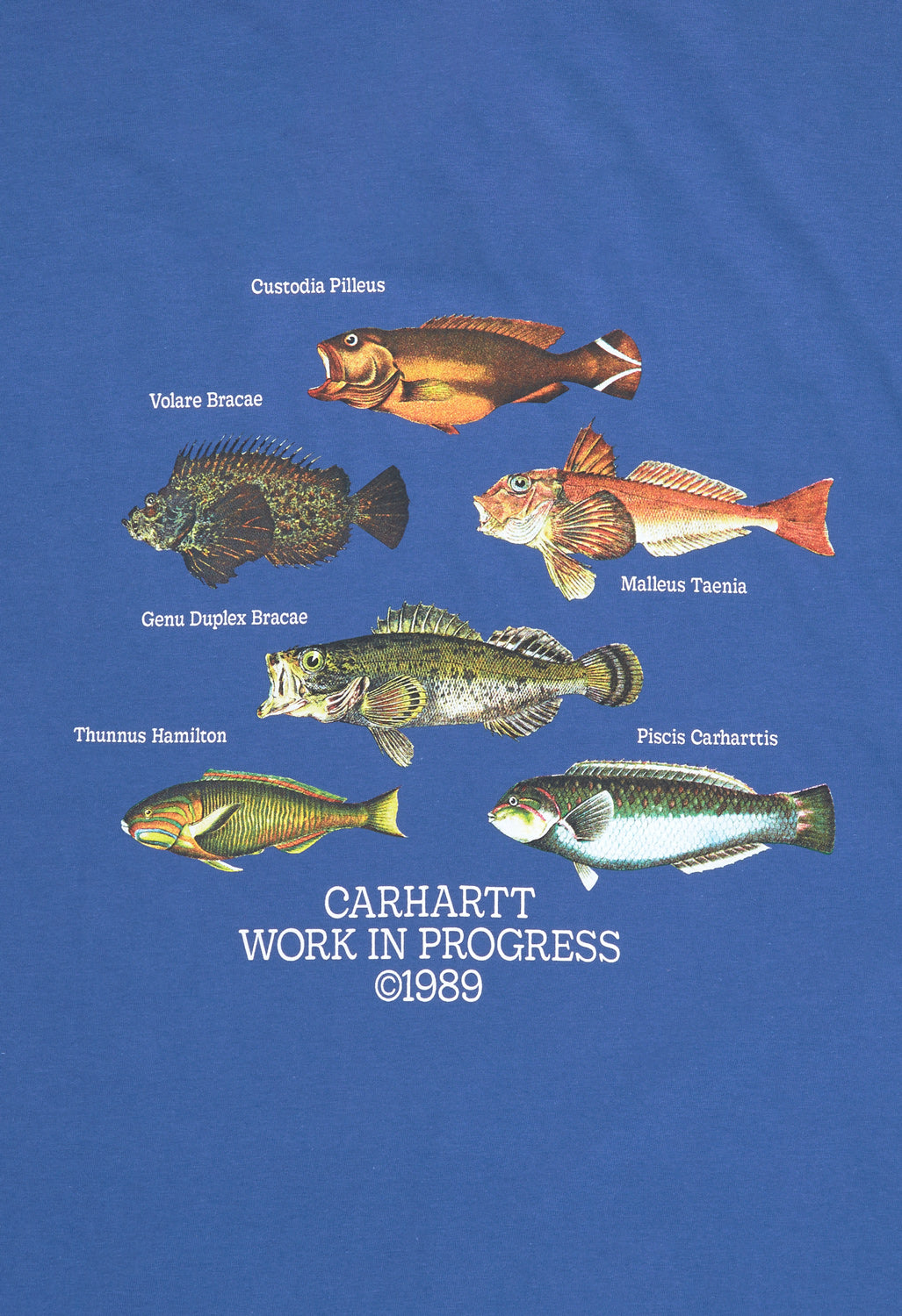 Carhartt WIP Men's Fish T-Shirt - Acapulco – Outsiders Store UK