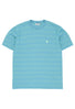 Carhartt WIP Men's Brodine T-Shirt - Brodine Stripe / Saguaro